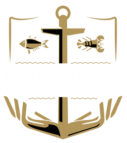 profishstunner logo-02.png